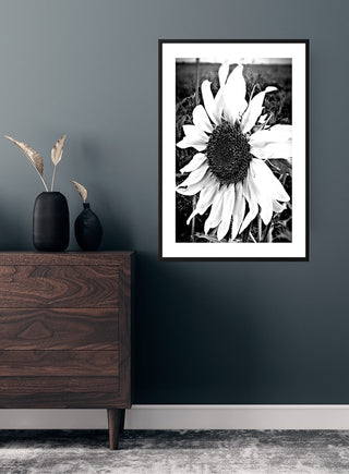 Black and white poster of a large sunflower displayed on a dark wall above a wooden dresser.
