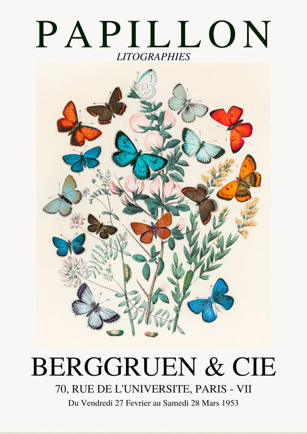 Affiche d'exposition papillon colorée.