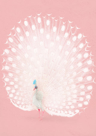 Affiche Paon rose par Ohara Koson