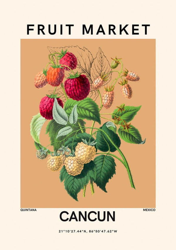 Illustration of raspberries and leaves with "Fruit Market Cancun" text on a beige background.