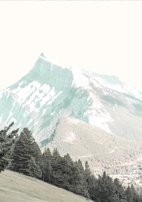 Snow-capped White Mountain peak with green pine trees in the foreground, featured on a White Mountain Plakat product page.