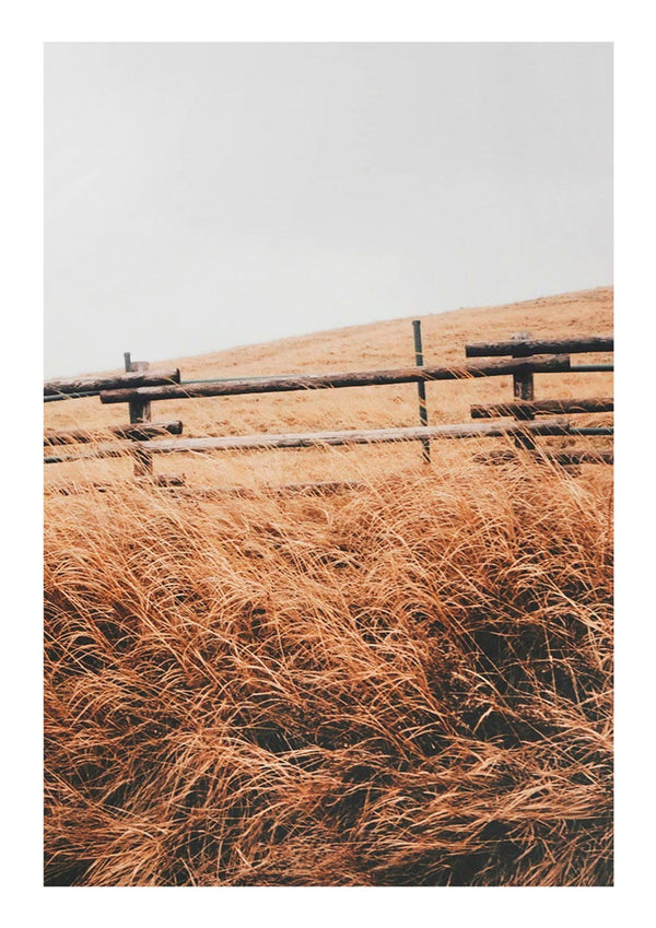 Poster of an autumn field with tall golden grass and a rustic wooden fence under a gray sky.