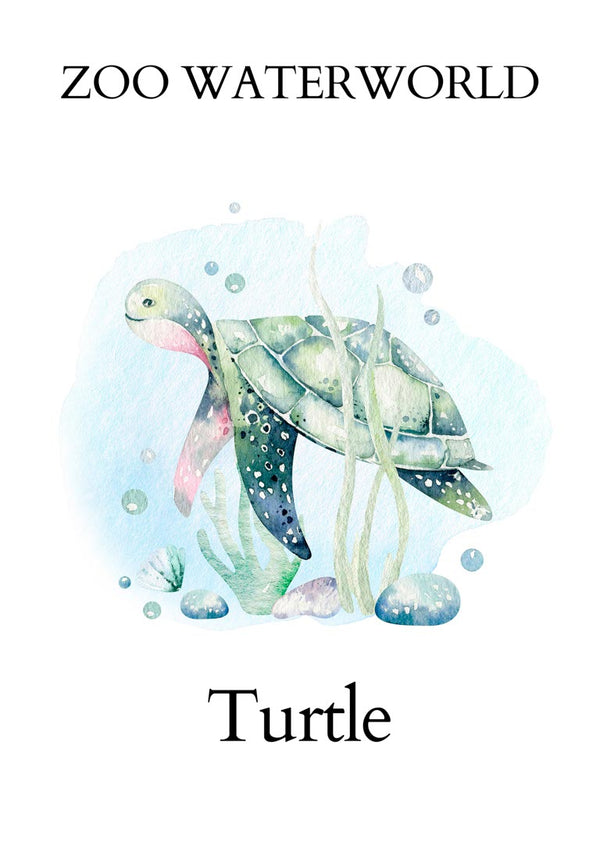 Watercolor illustration of a turtle swimming underwater with plants, featured on the Zoo Waterworld Turtle product page.
