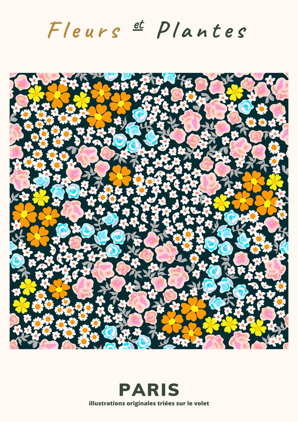 Poster of colorful pink, blue, white, and yellow flowers with "Fleurs et Plantes" and "Paris" text above and below.