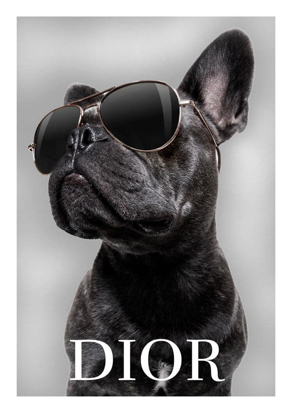 Stylish bulldog wearing sunglasses with the word "DIOR" displayed below on a Bulldog Dior Plakat product page.