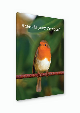 Where Is Your Freedom? - Anna Milewska