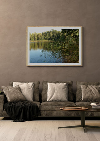 Sommar skuggan by Ljilja Marinic in a light oak frame on a warm grey wall above a brown sofa