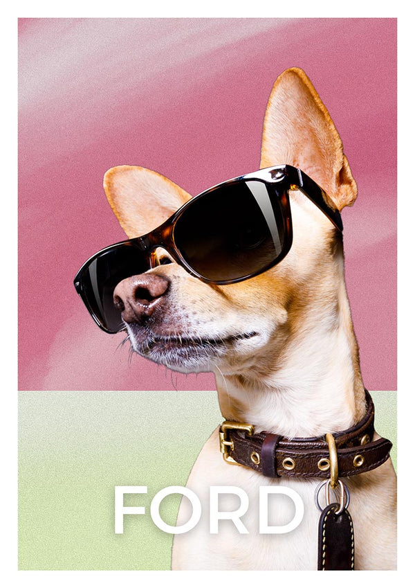 A stylish dog wearing sunglasses and collar against a pink and green backdrop with the word "FORD" below.