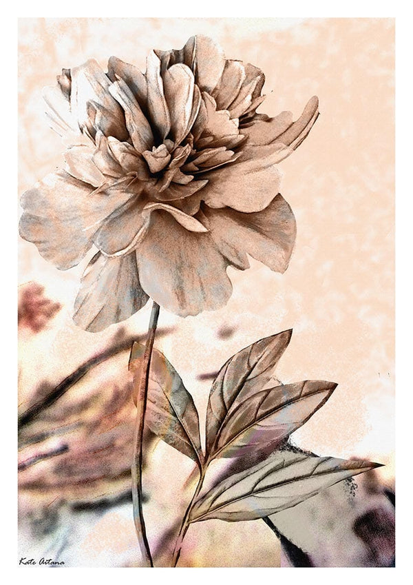 Artistic illustration of a dandelion in soft beige tones, featured on the Dandelion Beauty - Kate Aitana product page.