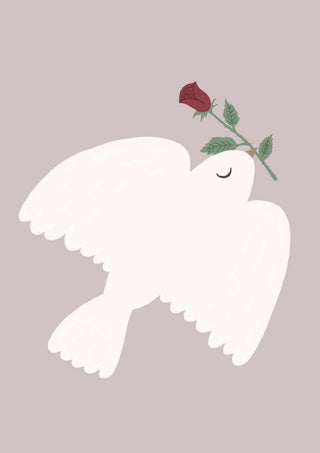 Minimalist illustration of a white dove carrying a red rose against a dusty pink background.