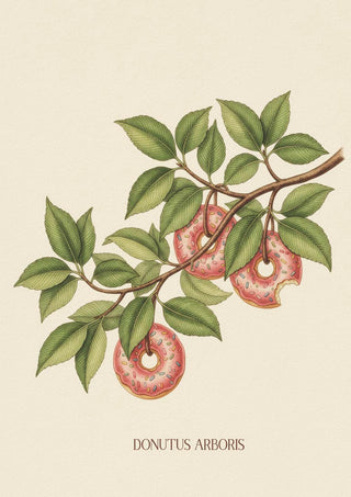Illustration of Donutus Arboris branch with donut-shaped fruit and green leaves on a light background.