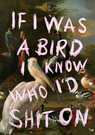 If I Was A Bird by Jonas Loose - pale pink capitals over an old master painting of pelicans, cranes and ducks