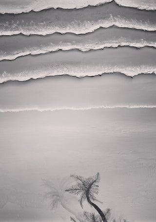 A breath before the shore by KG Studio - four lines of thick white surf and two palms held entirely in greys