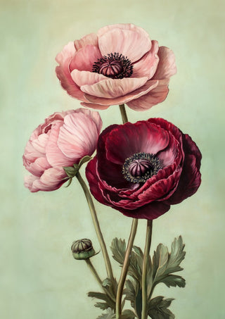 Blush and Burgundy by Annika Persson - two blush pink blooms and a deep burgundy flower on pale green