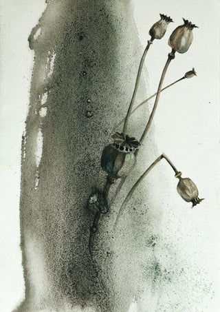 Death by Tania Zubareva - dried poppy seed heads against a grey-green wash