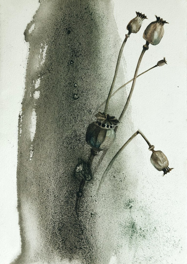Death by Tania Zubareva - dried poppy seed heads against a grey-green wash