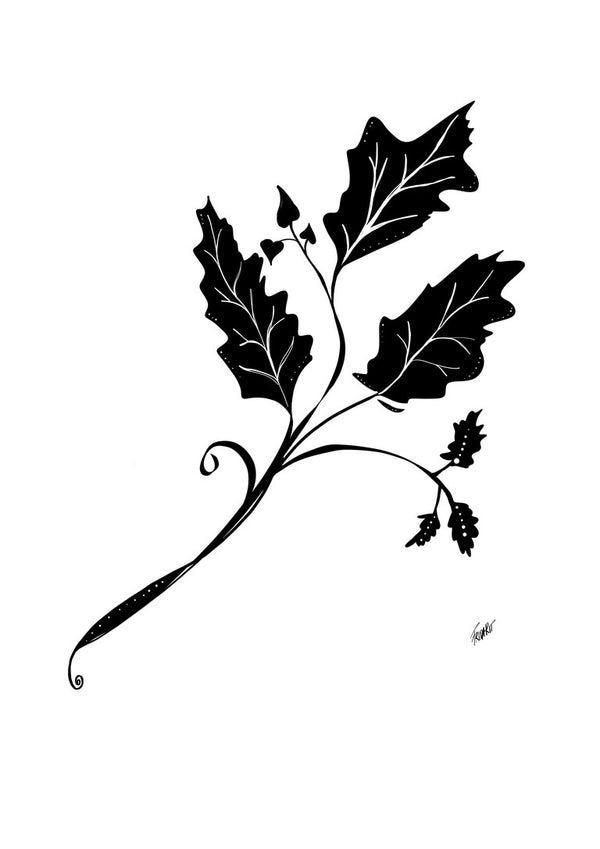 Leife by FridaRit - a black stem with three lobed leaves, their veins drawn as fine white lines