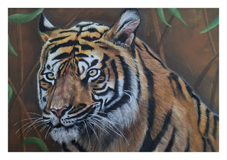 Solo Tiger by Sarah Daniels Art - a tiger's head in orange, black and white against a brown ground