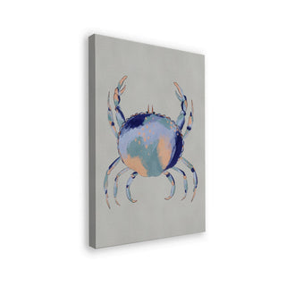 Crabe bleu serein - Nikita Jariwala