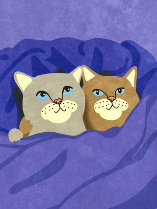 Illustration of two cats with blue eyes snuggled together under a purple blanket.