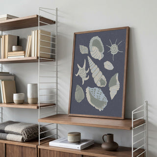 Collection de coquillages - Aliya Putrus