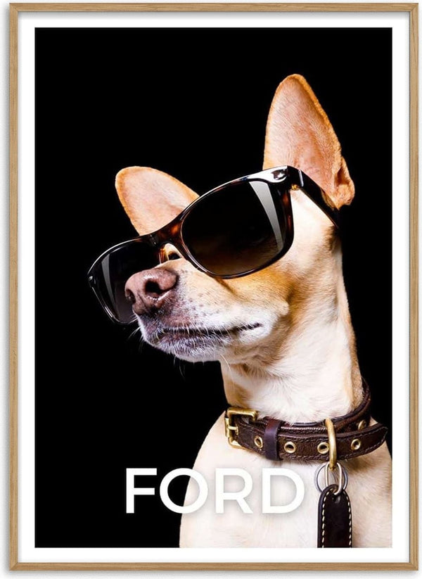 Dog wearing sunglasses on a black background with the word "FORD" below, promoting Cool as Ford Black.