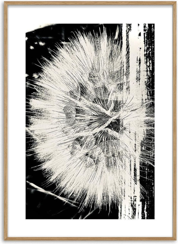 Artistic black and white poster of a dandelion flower with bold graphic lines, perfect for modern decor.