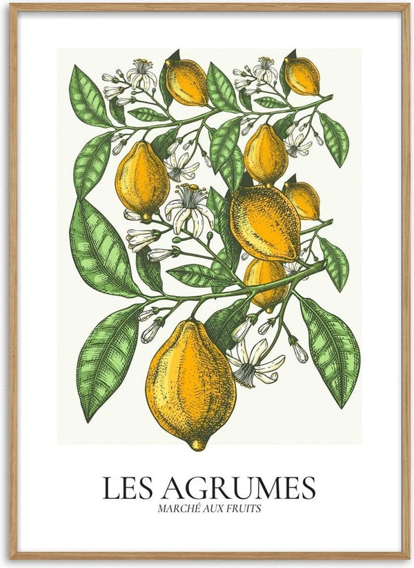 Illustration of lemons with green leaves and white blossoms, labeled "Les Agrumes" for a living room wall art print.