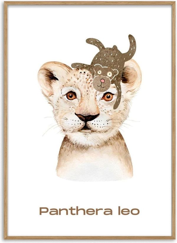 Illustration of a lion cub with a playful toy on its head, text "Panthera leo" below, for children's room decor.
