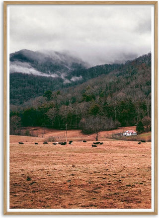Mountain in the Background Naturposter