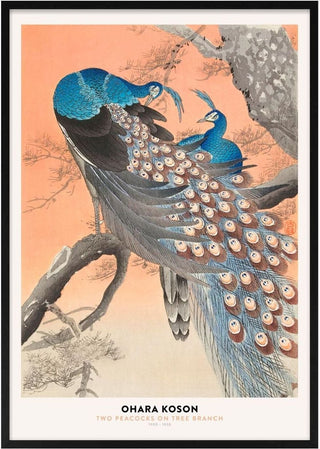 Ohara Koson - Two Peacocks Poster