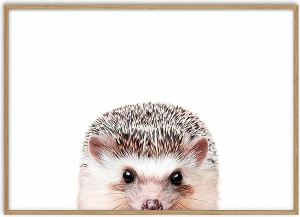 A cute hedgehog peeking with its face and spiky head visible, featured on the Peeking Hedgehog product page.