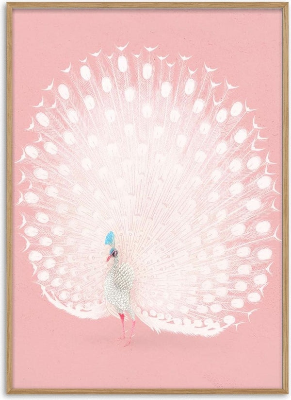 Affiche Paon rose par Ohara Koson