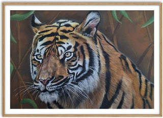 Solo Tiger - Sarah Daniels Art