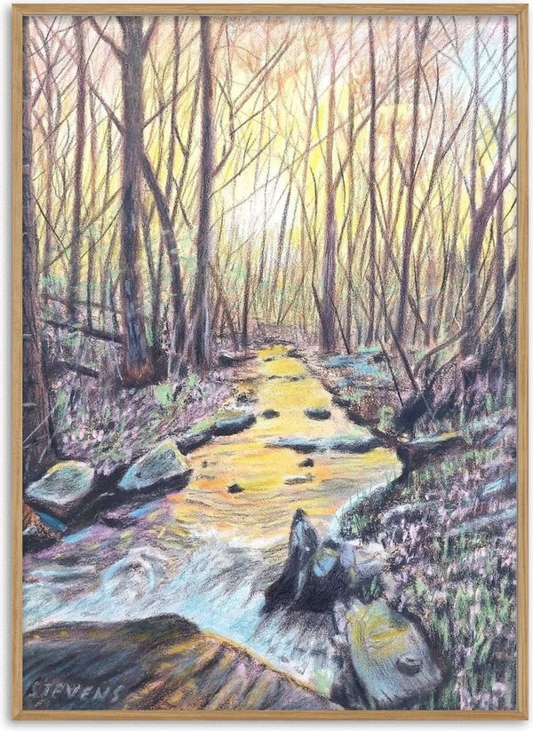 The Evening Stream by Finbar Stevens - a woodland stream holding yellow evening light between bare trees