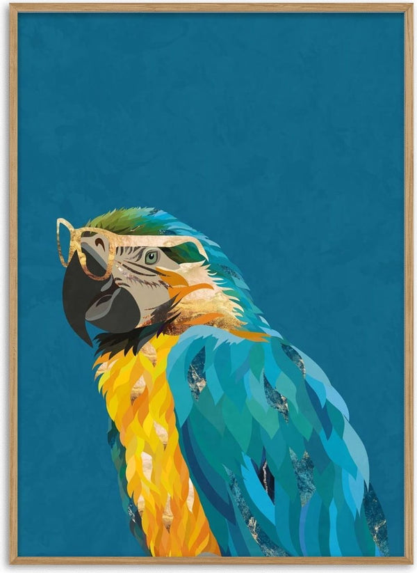 Illustration of a colorful macaw wearing glasses on a blue background, by Sarah Manovski.