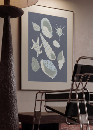 Collection de coquillages - Aliya Putrus